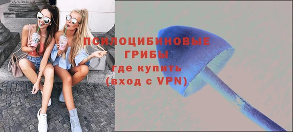 а пвп мука Алзамай
