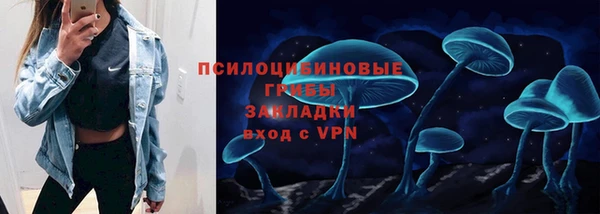 гашик Алексеевка