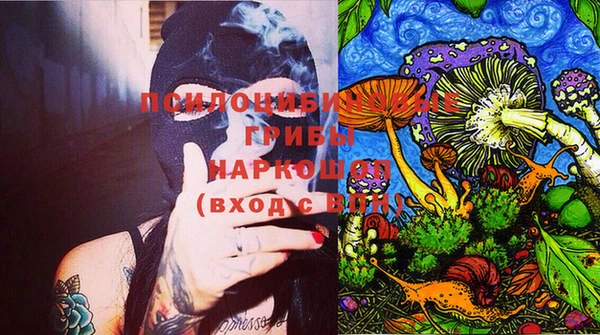 гидра Алексин
