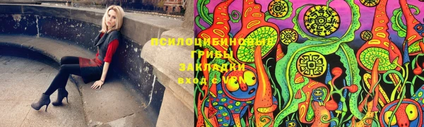 гидра Алексин