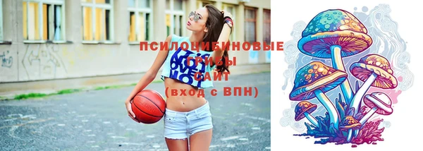а пвп мука Алзамай