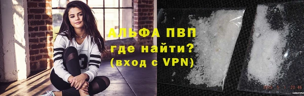гашик Алексеевка